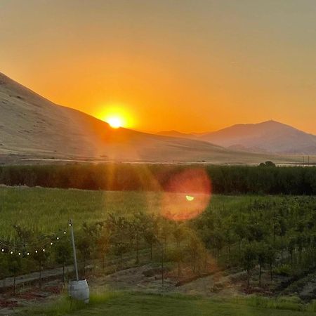 Bed and Breakfast Sequoia View Vineyard Sanger Екстер'єр фото