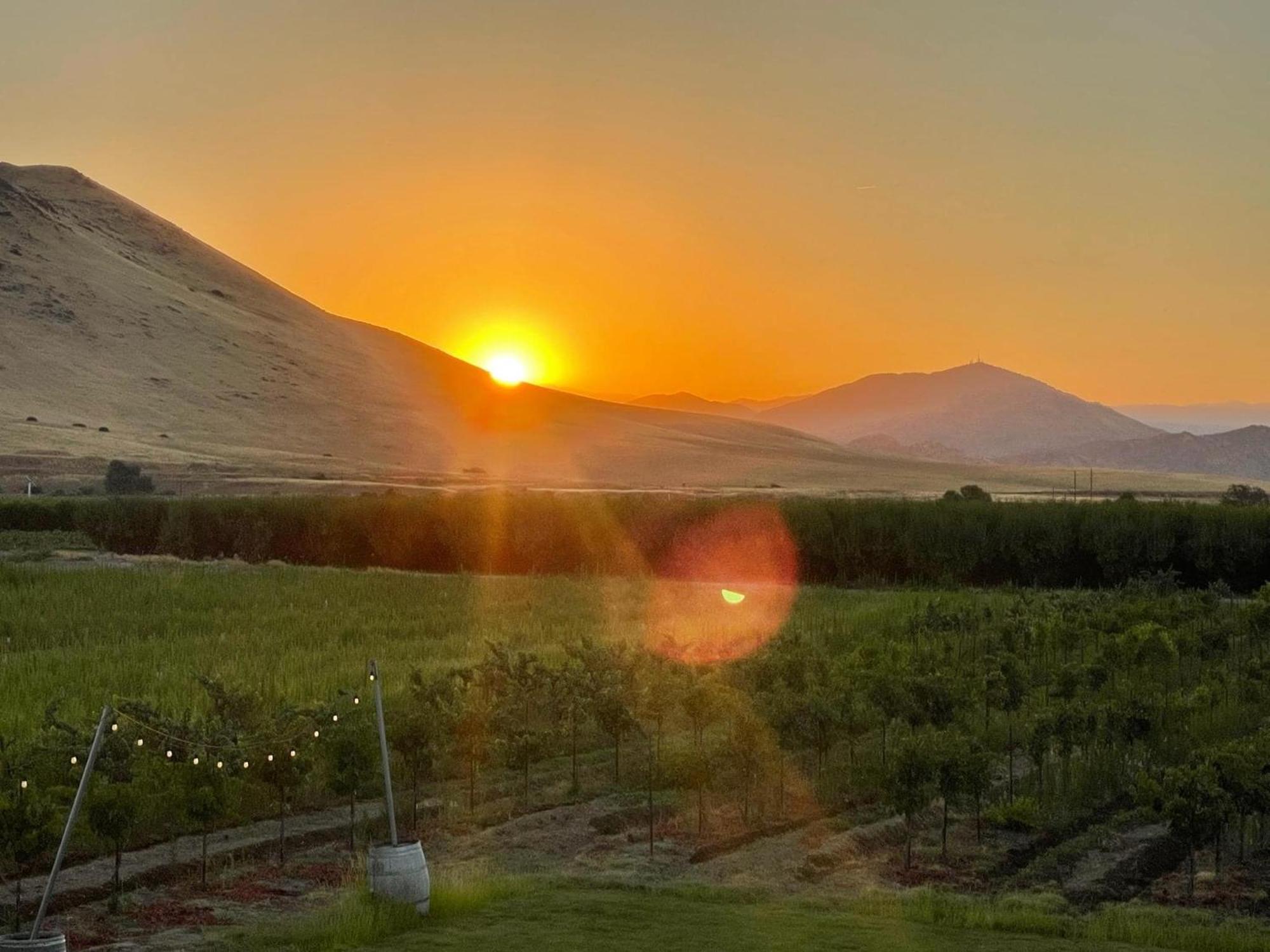Bed and Breakfast Sequoia View Vineyard Sanger Екстер'єр фото